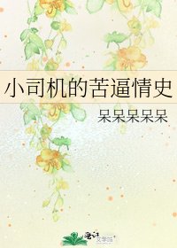 小司机的苦逼情史